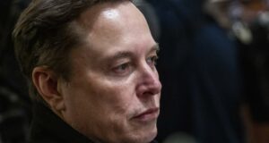 El departamento de Elon Musk tendrá acceso a datos confidenciales de inmigrantes en Estados Unidos El departamento de Elon Musk tendrá acceso a datos confidenciales de inmigrantes en Estados Unidos