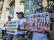 Michoacán prohíbe la tauromaquia y otros “espectáculos violentos con animales” Michoacán prohíbe la tauromaquia y otros "espectáculos violentos con animales"
