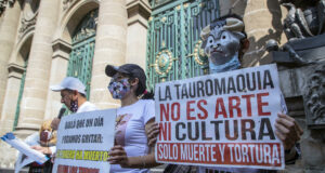 Michoacán prohíbe la tauromaquia y otros “espectáculos violentos con animales” Michoacán prohíbe la tauromaquia y otros "espectáculos violentos con animales"
