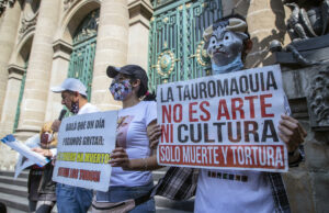 Michoacán prohíbe la tauromaquia y otros “espectáculos violentos con animales” Michoacán prohíbe la tauromaquia y otros "espectáculos violentos con animales"