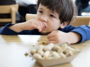 ¿Se podrían revertir las alergias alimentarias? Estas células inmunitarias podrían ser la clave ¿Se podrían revertir las alergias alimentarias? Estas células inmunitarias podrían ser la clave