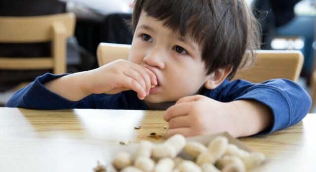 ¿Se podrían revertir las alergias alimentarias? Estas células inmunitarias podrían ser la clave ¿Se podrían revertir las alergias alimentarias? Estas células inmunitarias podrían ser la clave