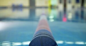 Auburn será sede del Campeonato Nacional de Clavados de USA esta semana Auburn será sede del Campeonato Nacional de Clavados de USA esta semana