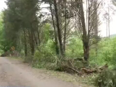 Condado de Jackson evalúa daños por tormentas antes de nuevas inclemencias climáticas Condado de Jackson evalúa daños por tormentas antes de nuevas inclemencias climáticas