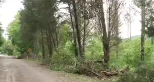 Condado de Jackson evalúa daños por tormentas antes de nuevas inclemencias climáticas Condado de Jackson evalúa daños por tormentas antes de nuevas inclemencias climáticas