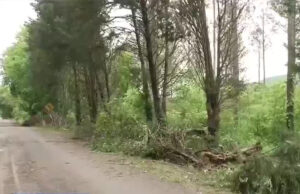 Condado de Jackson evalúa daños por tormentas antes de nuevas inclemencias climáticas Condado de Jackson evalúa daños por tormentas antes de nuevas inclemencias climáticas