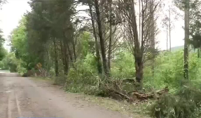 Condado de Jackson evalúa daños por tormentas antes de nuevas inclemencias climáticas Condado de Jackson evalúa daños por tormentas antes de nuevas inclemencias climáticas