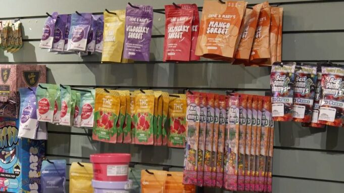 La gobernadora Ivey firma un proyecto de ley que regula los productos de cáñamo en Alabama La gobernadora Ivey firma un proyecto de ley que regula los productos de cáñamo en Alabama