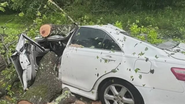Mujer de Muscle Shoals queda paralizada tras la caída de un árbol sobre su coche