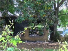 Oficial de control animal salva a 5 perros de un incendio en una casa en Fairfield Oficial de control animal salva a 5 perros de un incendio en una casa en Fairfield