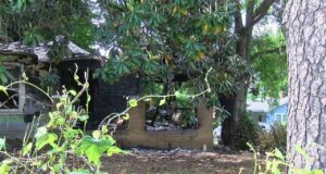 Oficial de control animal salva a 5 perros de un incendio en una casa en Fairfield Oficial de control animal salva a 5 perros de un incendio en una casa en Fairfield