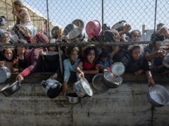 Asaltos a camiones de ayuda en Gaza aumentan por desesperación de la población Asaltos a camiones de ayuda en Gaza aumentan por desesperación de la población