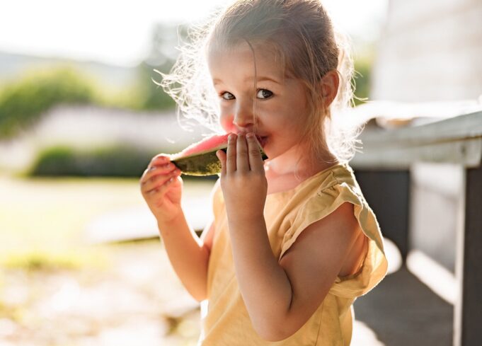 Asamblea en Birmingham abordará amenazas federales a asistencia alimentaria y sanitaria Asamblea en Birmingham abordará amenazas federales a asistencia alimentaria y sanitaria