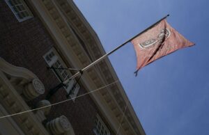 Estudiantes de Harvard denuncian ambiente hostil por políticas restrictivas de Trump Estudiantes de Harvard denuncian ambiente hostil por políticas restrictivas de Trump