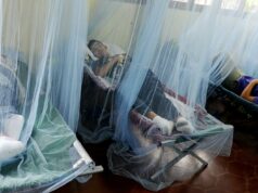 Honduras registra cuatro muertes por dengue y supera 7.000 casos en 2025 Honduras registra cuatro muertes por dengue y supera 7.000 casos en 2025