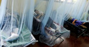 Honduras registra cuatro muertes por dengue y supera 7.000 casos en 2025 Honduras registra cuatro muertes por dengue y supera 7.000 casos en 2025