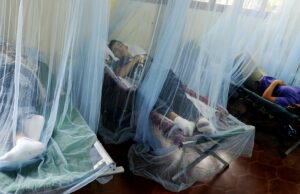 Honduras registra cuatro muertes por dengue y supera 7.000 casos en 2025 Honduras registra cuatro muertes por dengue y supera 7.000 casos en 2025