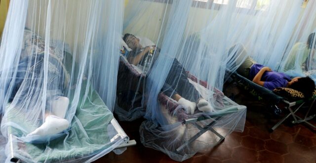 Honduras registra cuatro muertes por dengue y supera 7.000 casos en 2025