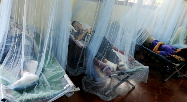 Honduras registra cuatro muertes por dengue y supera 7.000 casos en 2025 Honduras registra cuatro muertes por dengue y supera 7.000 casos en 2025