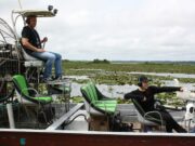 Se inicia en Florida la caza regulada de caimanes: una práctica lucrativa y controvertida Se inicia en Florida la caza regulada de caimanes: una práctica lucrativa y controvertida