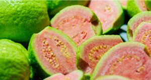 Según científicos, estas plantas bioactivas tienen propiedades anticancerígenas Según científicos, estas plantas bioactivas tienen propiedades anticancerígenas