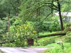 Fuertes lluvias causan inundaciones y árboles caídos en el centro de Alabama Fuertes lluvias causan inundaciones y árboles caídos en el centro de Alabama