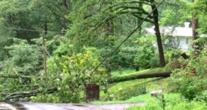 Fuertes lluvias causan inundaciones y árboles caídos en el centro de Alabama Fuertes lluvias causan inundaciones y árboles caídos en el centro de Alabama