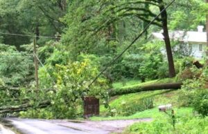 Fuertes lluvias causan inundaciones y árboles caídos en el centro de Alabama Fuertes lluvias causan inundaciones y árboles caídos en el centro de Alabama