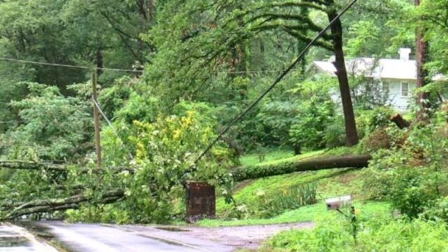Fuertes lluvias causan inundaciones y árboles caídos en el centro de Alabama