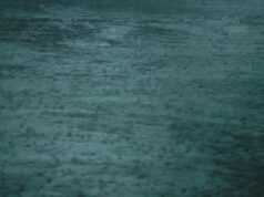 Rayo incendia barco en lago Logan Martin, se hunde y deja un herido hospitalizado Rayo incendia barco en lago Logan Martin, se hunde y deja un herido hospitalizado