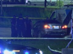 Una persona herida tras tiroteo ocurrido la madrugada del lunes en Ensley Una persona herida tras tiroteo ocurrido la madrugada del lunes en Ensley