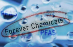 Ciertos alimentos comunes como arroz y huevos aún contienen niveles preocupantes de PFAS Ciertos alimentos comunes como arroz y huevos aún contienen niveles preocupantes de PFAS