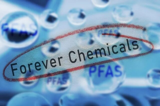 Ciertos alimentos comunes como arroz y huevos aún contienen niveles preocupantes de PFAS
