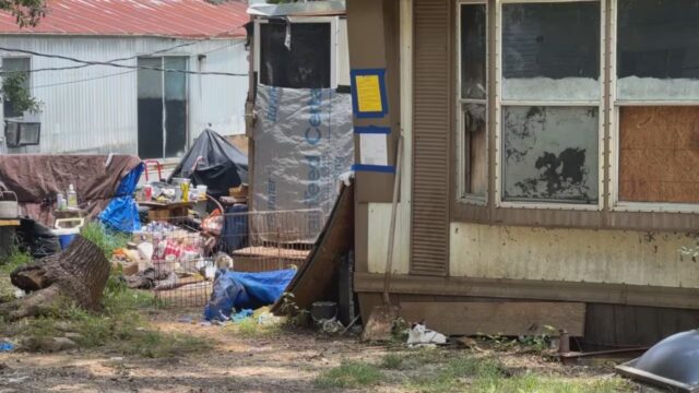 Número significativo de animales en peligro necesitan atención médica urgente en casa Alabaster