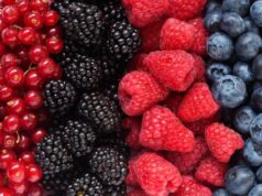 Tres porciones diarias de frutos rojos ayudan a envejecer de forma saludable Tres porciones diarias de frutos rojos ayudan a envejecer de forma saludable