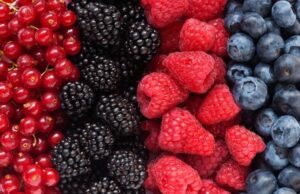 Tres porciones diarias de frutos rojos ayudan a envejecer de forma saludable Tres porciones diarias de frutos rojos ayudan a envejecer de forma saludable