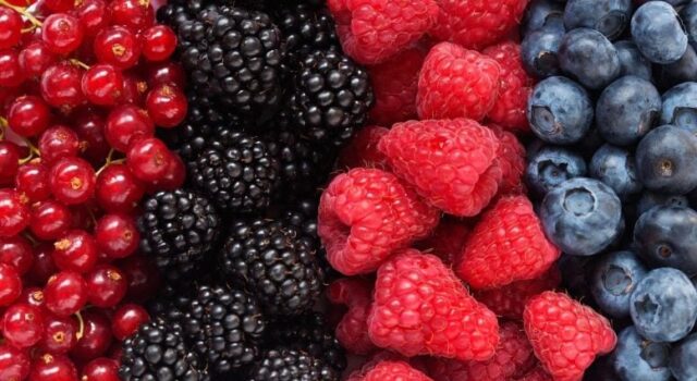 Tres porciones diarias de frutos rojos ayudan a envejecer de forma saludable Tres porciones diarias de frutos rojos ayudan a envejecer de forma saludable