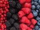Tres porciones diarias de frutos rojos ayudan a envejecer de forma saludable Tres porciones diarias de frutos rojos ayudan a envejecer de forma saludable
