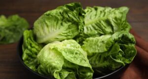 La asombrosa forma en que tu lechuga podría estar contaminada La asombrosa forma en que tu lechuga podría estar contaminada