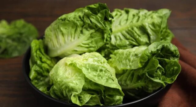 La asombrosa forma en que tu lechuga podría estar contaminada La asombrosa forma en que tu lechuga podría estar contaminada
