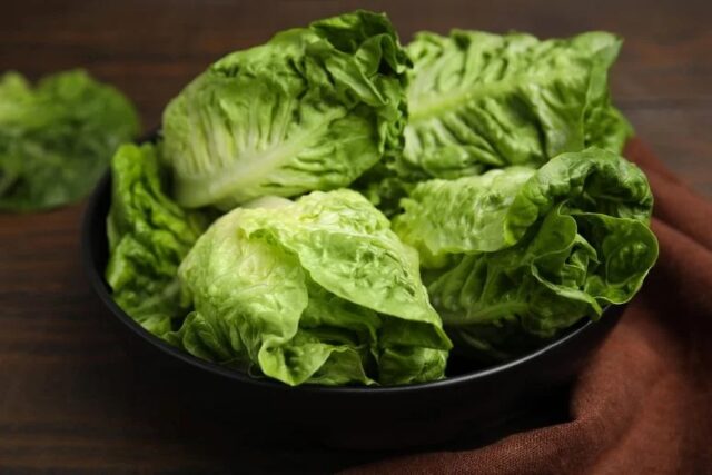 La asombrosa forma en que tu lechuga podría estar contaminada
