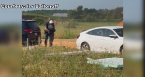 11 arrestados en redada migratoria en construcción de escuela primaria en Loxley 11 arrestados en redada migratoria en construcción de escuela primaria en Loxley
