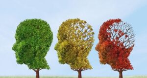 Fármacos contra el cáncer demuestran un sorprendente poder para revertir el alzhéimer en ratones Fármacos contra el cáncer demuestran un sorprendente poder para revertir el alzhéimer en ratones