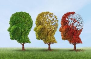 Fármacos contra el cáncer demuestran un sorprendente poder para revertir el alzhéimer en ratones Fármacos contra el cáncer demuestran un sorprendente poder para revertir el alzhéimer en ratones