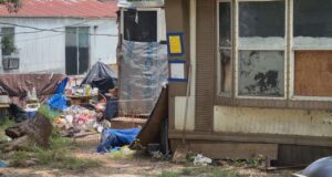 2 sospechosos identificados en caso de crueldad animal en Alabaster 2 sospechosos identificados en caso de crueldad animal en Alabaster