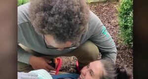 Mujer del condado de Lawrence da a luz en la acera, a pocos metros de un centro de maternidad Mujer del condado de Lawrence da a luz en la acera, a pocos metros de un centro de maternidad