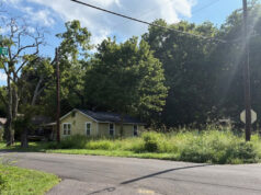 Mujer muere tras ataque de perros callejeros; segundo caso fatal esta semana Mujer muere tras ataque de perros callejeros; segundo caso fatal esta semana