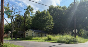 Mujer muere tras ataque de perros callejeros; segundo caso fatal esta semana Mujer muere tras ataque de perros callejeros; segundo caso fatal esta semana