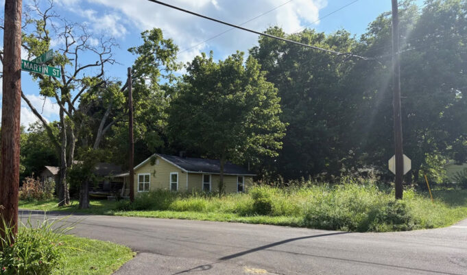 Mujer muere tras ataque de perros callejeros; segundo caso fatal esta semana Mujer muere tras ataque de perros callejeros; segundo caso fatal esta semana