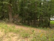 Niño de 7 años muere tras ataque de perro en condado Chilton Niño de 7 años muere tras ataque de perro en condado Chilton